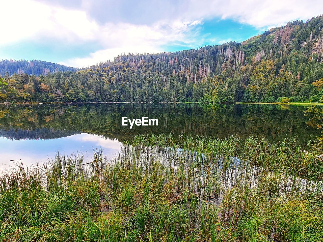 Scenic view of lake against sky