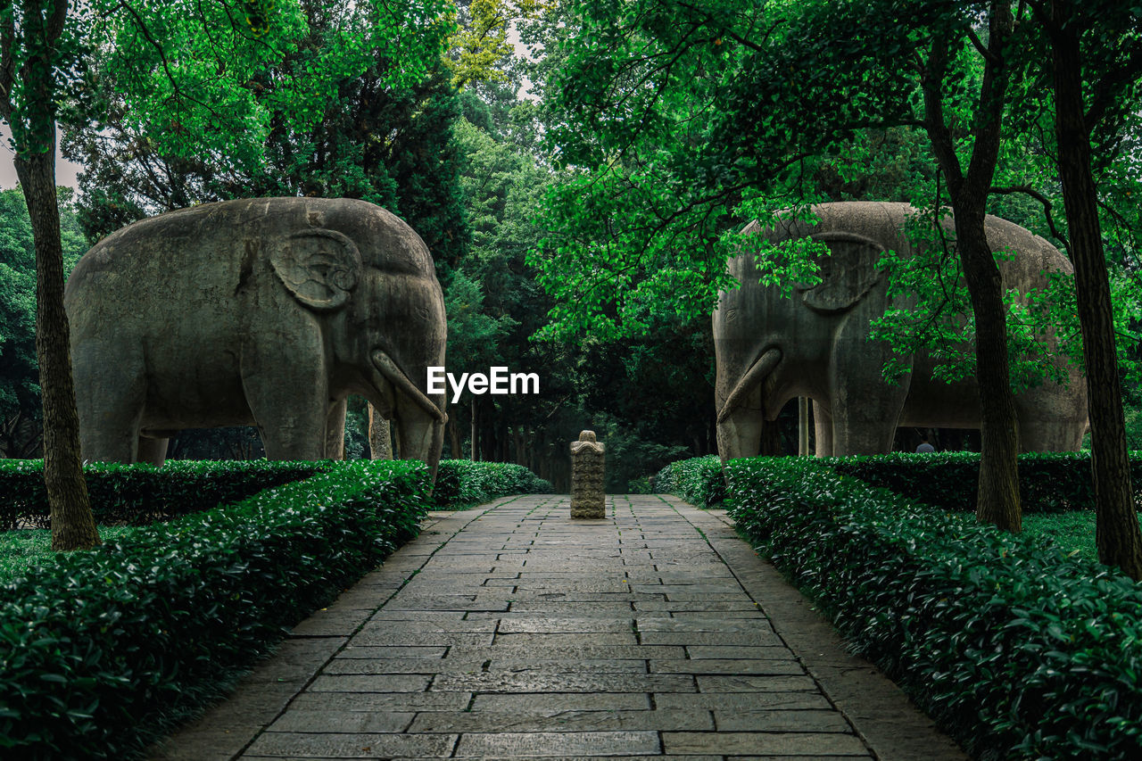 Pair of statue elephant in forested tomb path