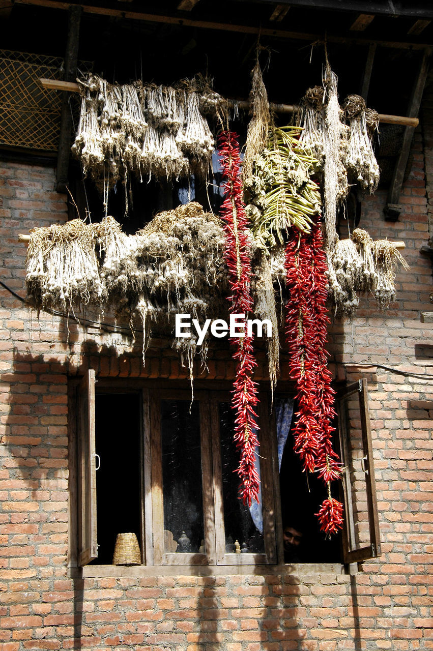 Low angle view of chili peppers hanging from house