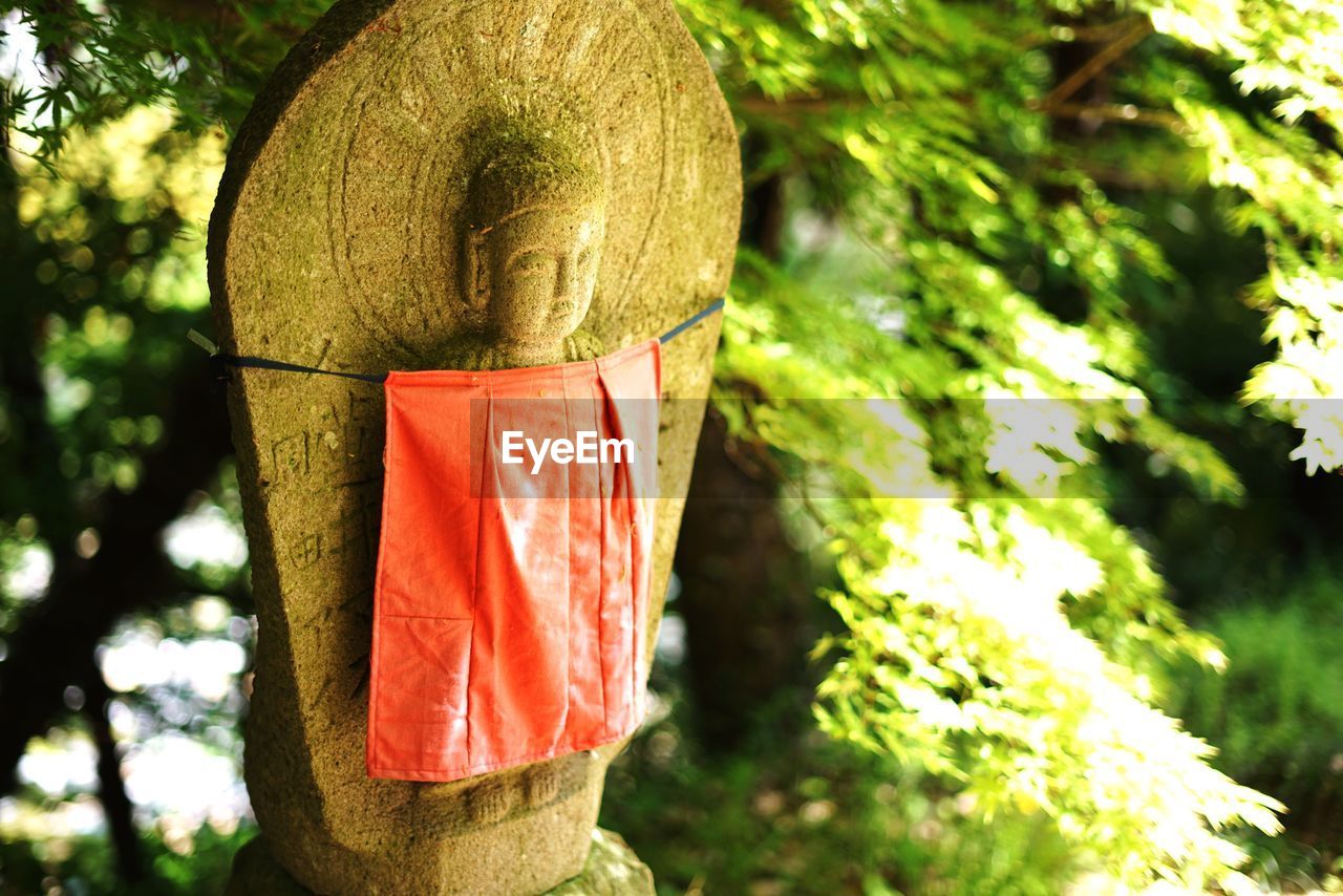 Close-up of buddha statue against trees in forest