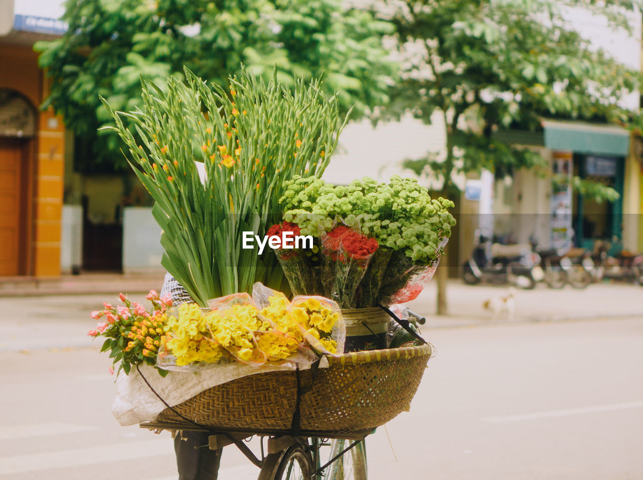 YELLOW FLOWERS IN BASKET ON VEHICLE