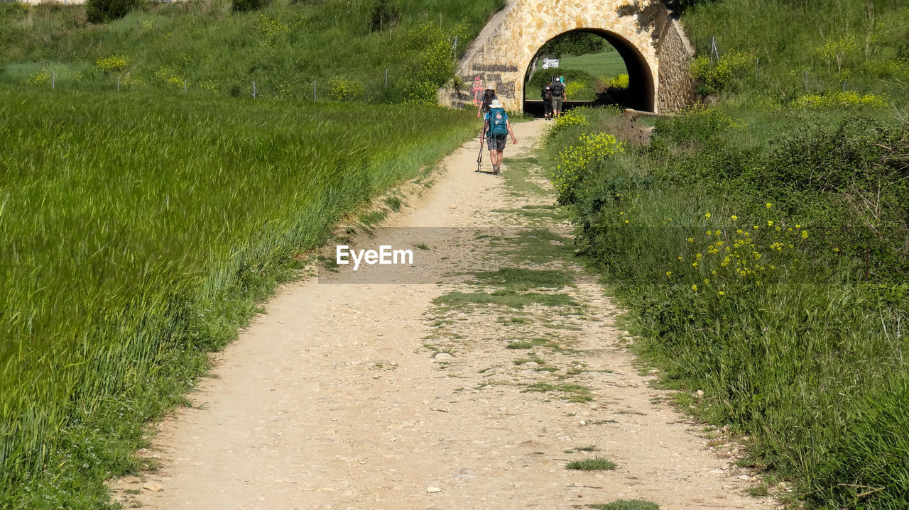 REAR VIEW OF PEOPLE WALKING ON ROAD