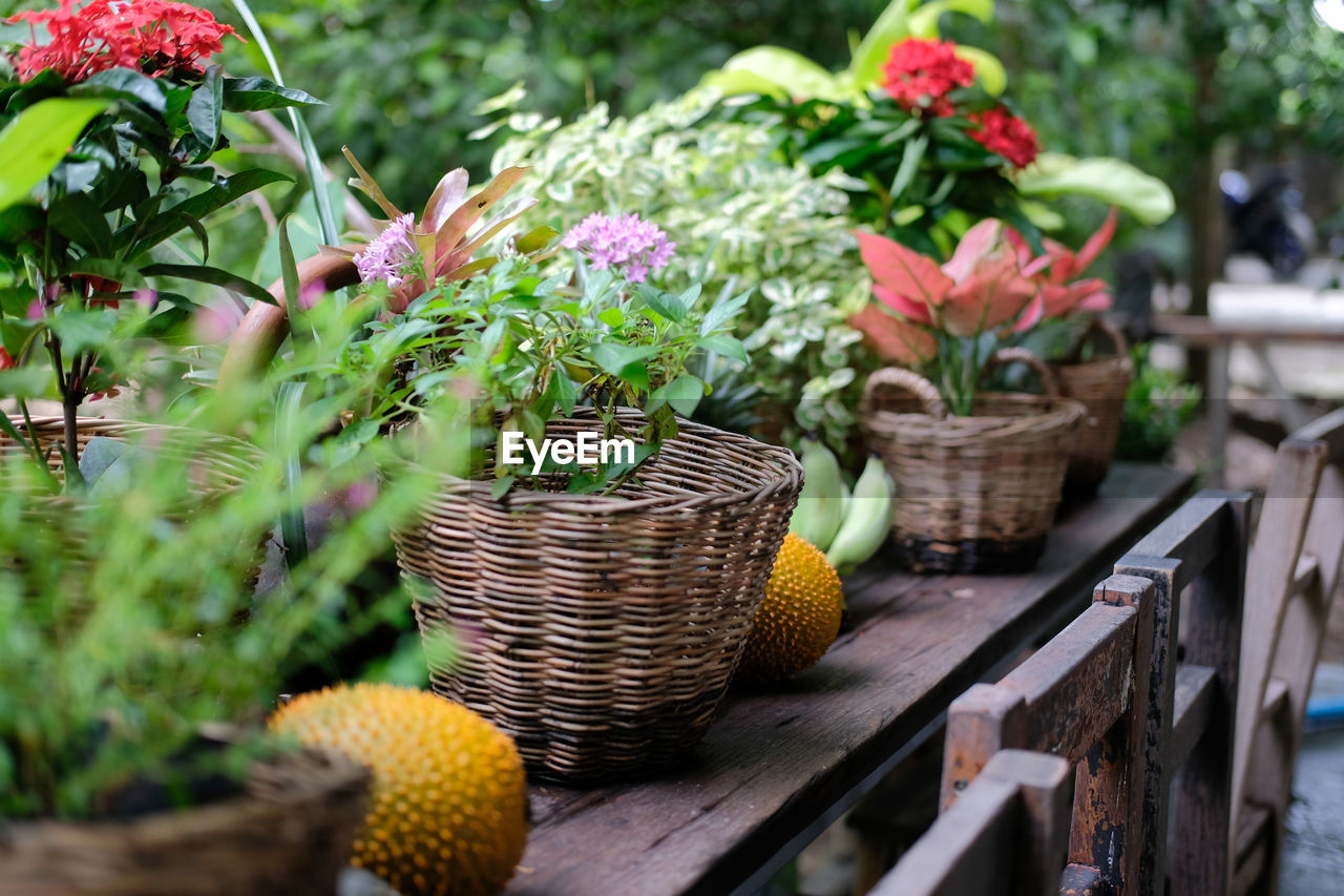 Flower and green plant leaves in wicker basket decorating on terrace balcony