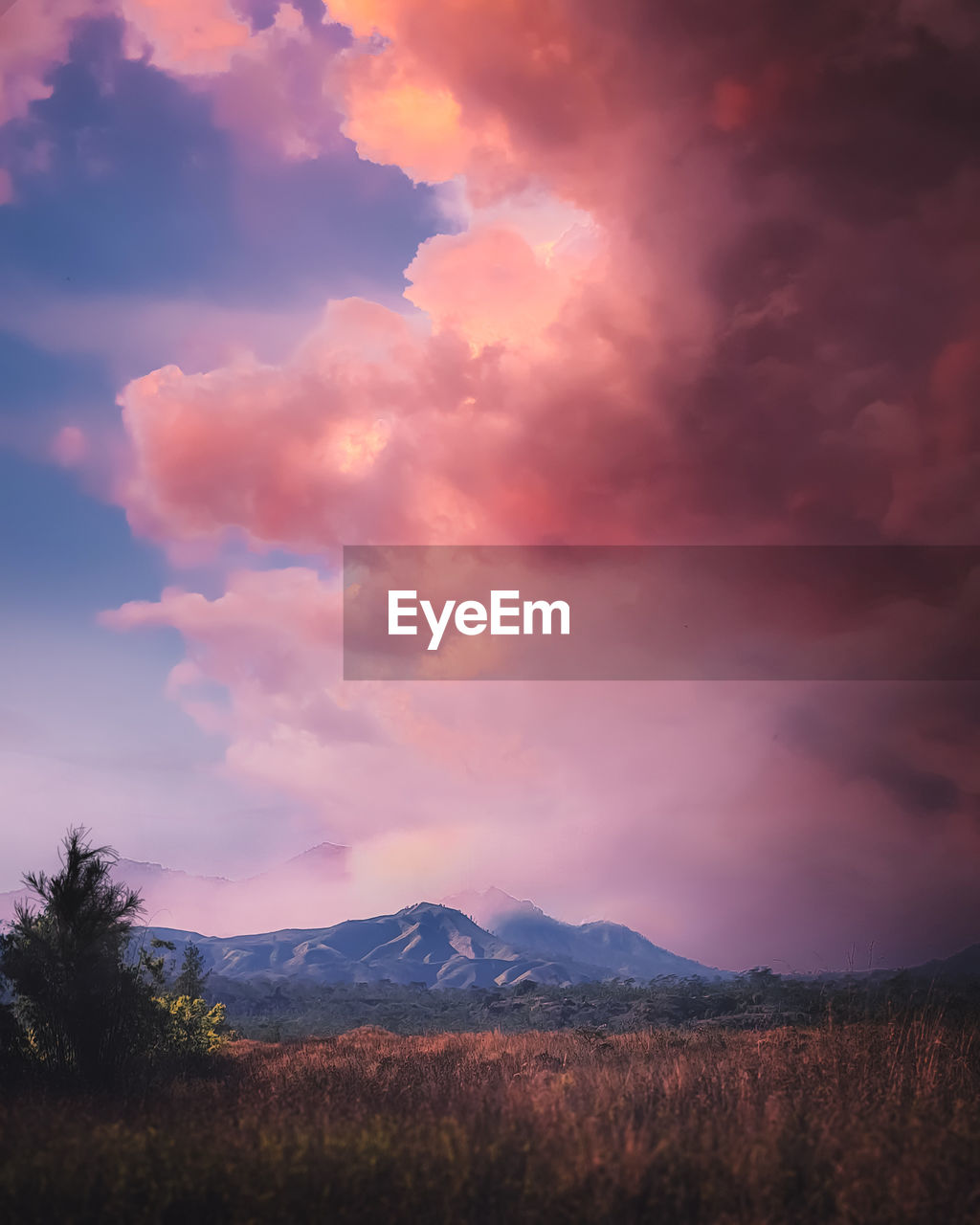 Scenic view of field against sky during sunset