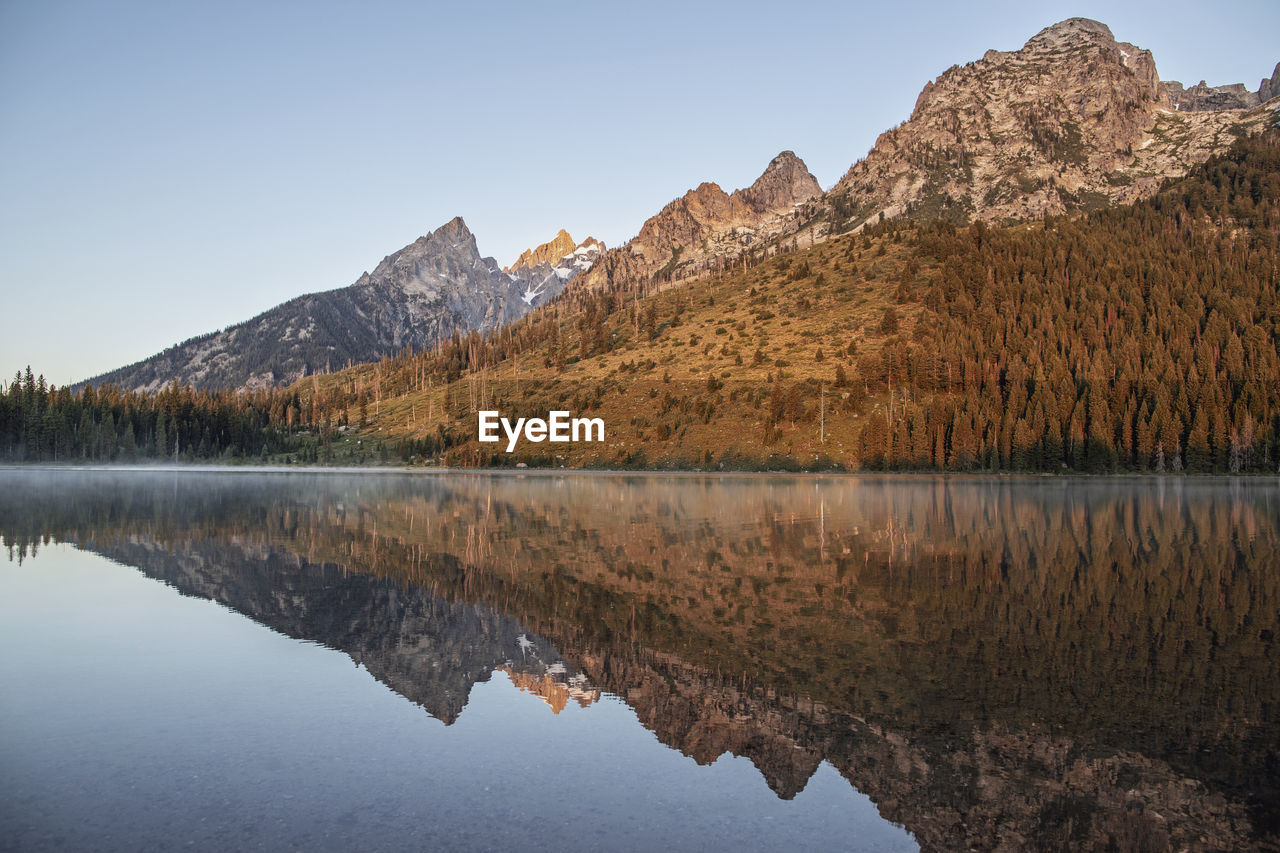 Tetons at sunrise reflected in still waters of string lake, wyoming