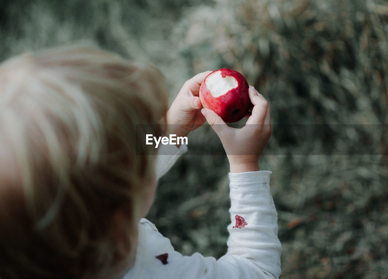 Close-up of boy holding apple