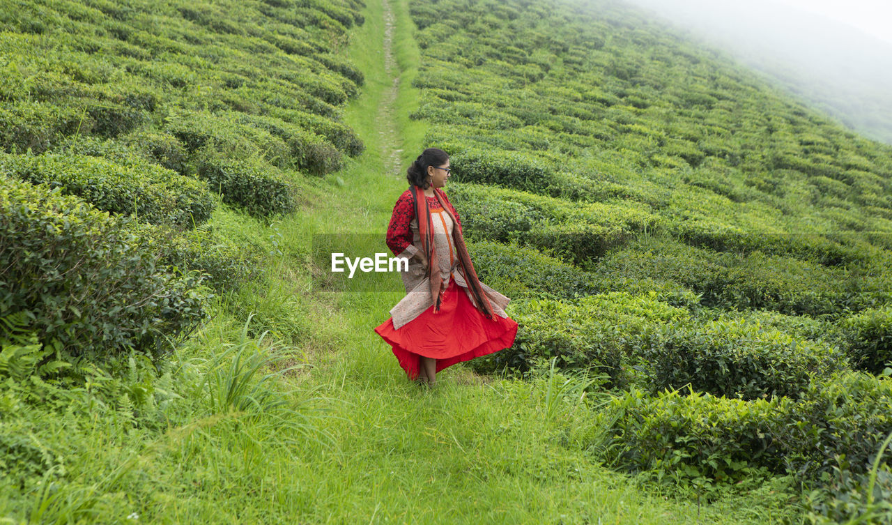 Graceful young lady enjoying the nature in a lash green tea garden 