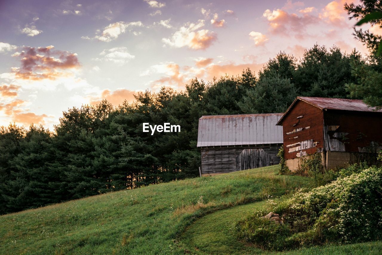 Low angle view of old barns on field against sky