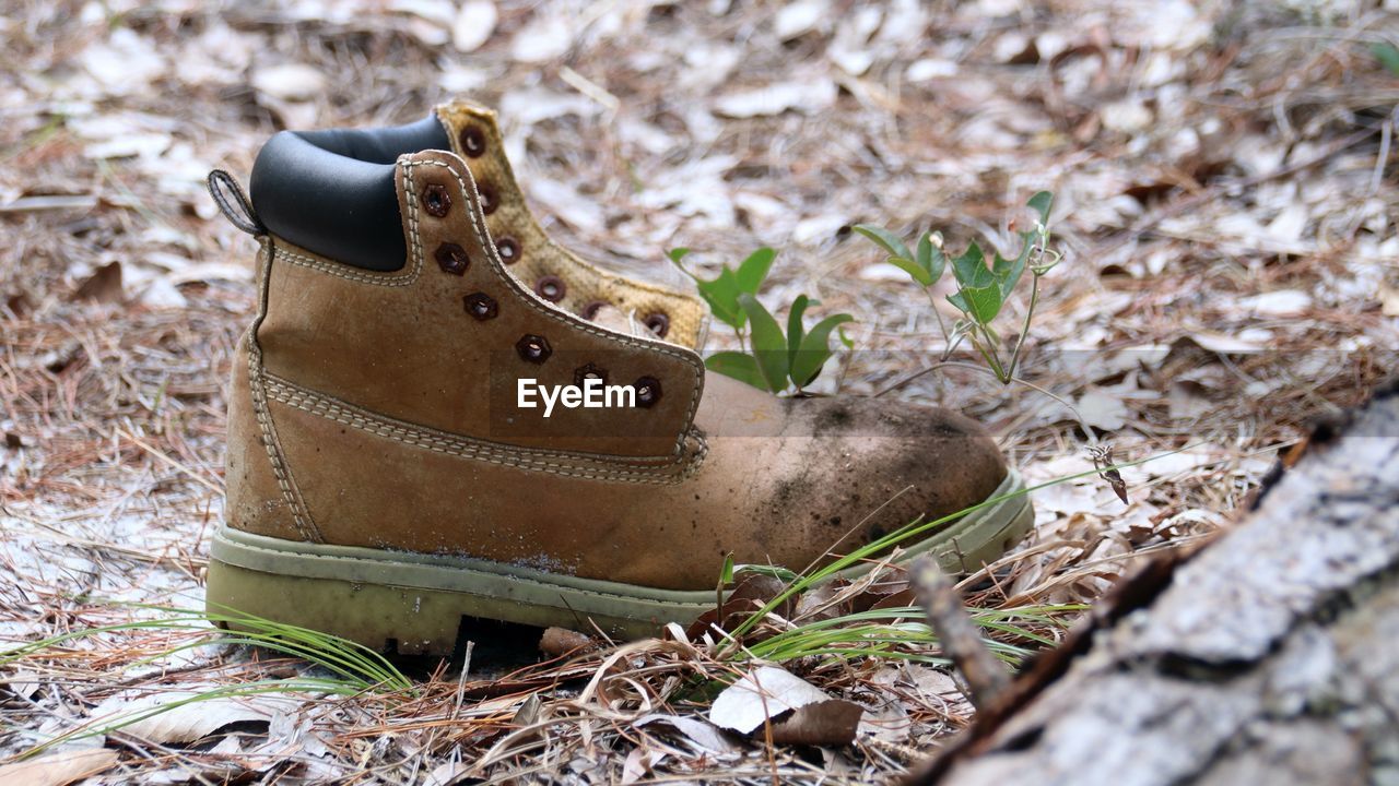 footwear, spring, shoe, nature, boot, no people, brown, plant, pair, day, leather, work boots, outdoors, dirt, land, close-up, old, grass, limb, selective focus