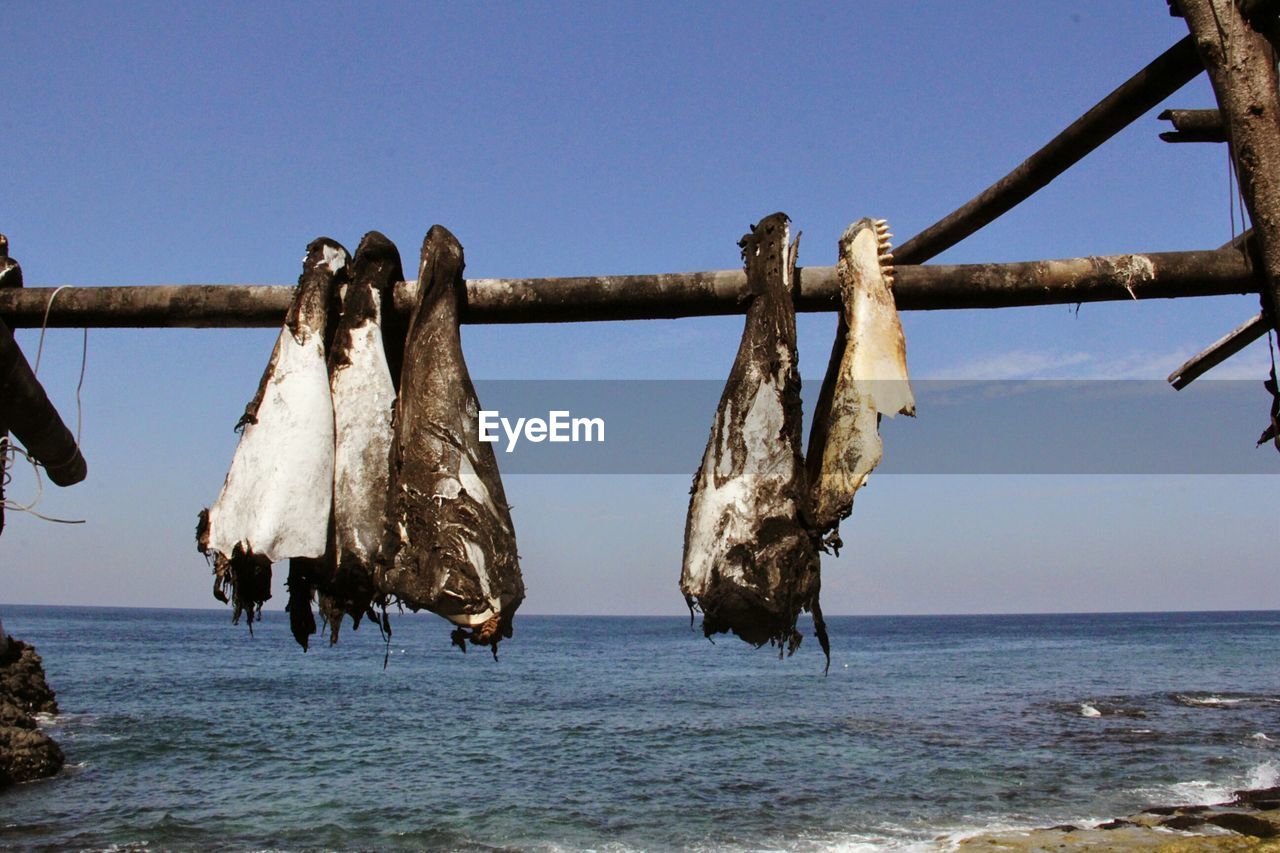 Fish drying on bamboo by sea against sky