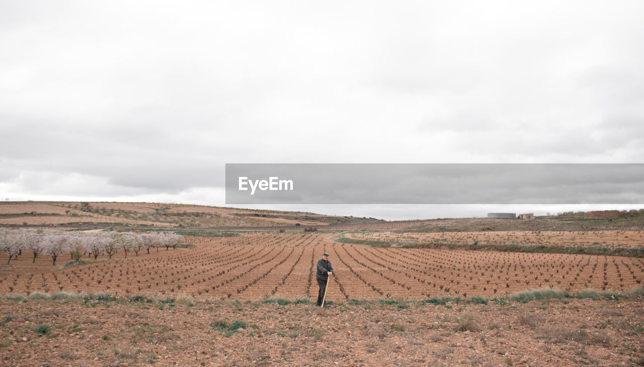 Old farmer is posing with his hoe in front of some wine fields. person