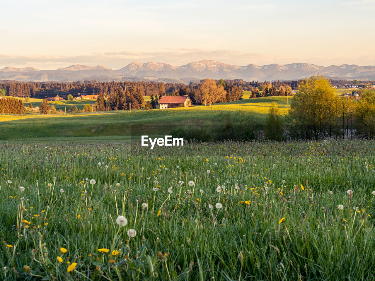 SCENIC VIEW OF LANDSCAPE AGAINST SKY DURING SUNSET