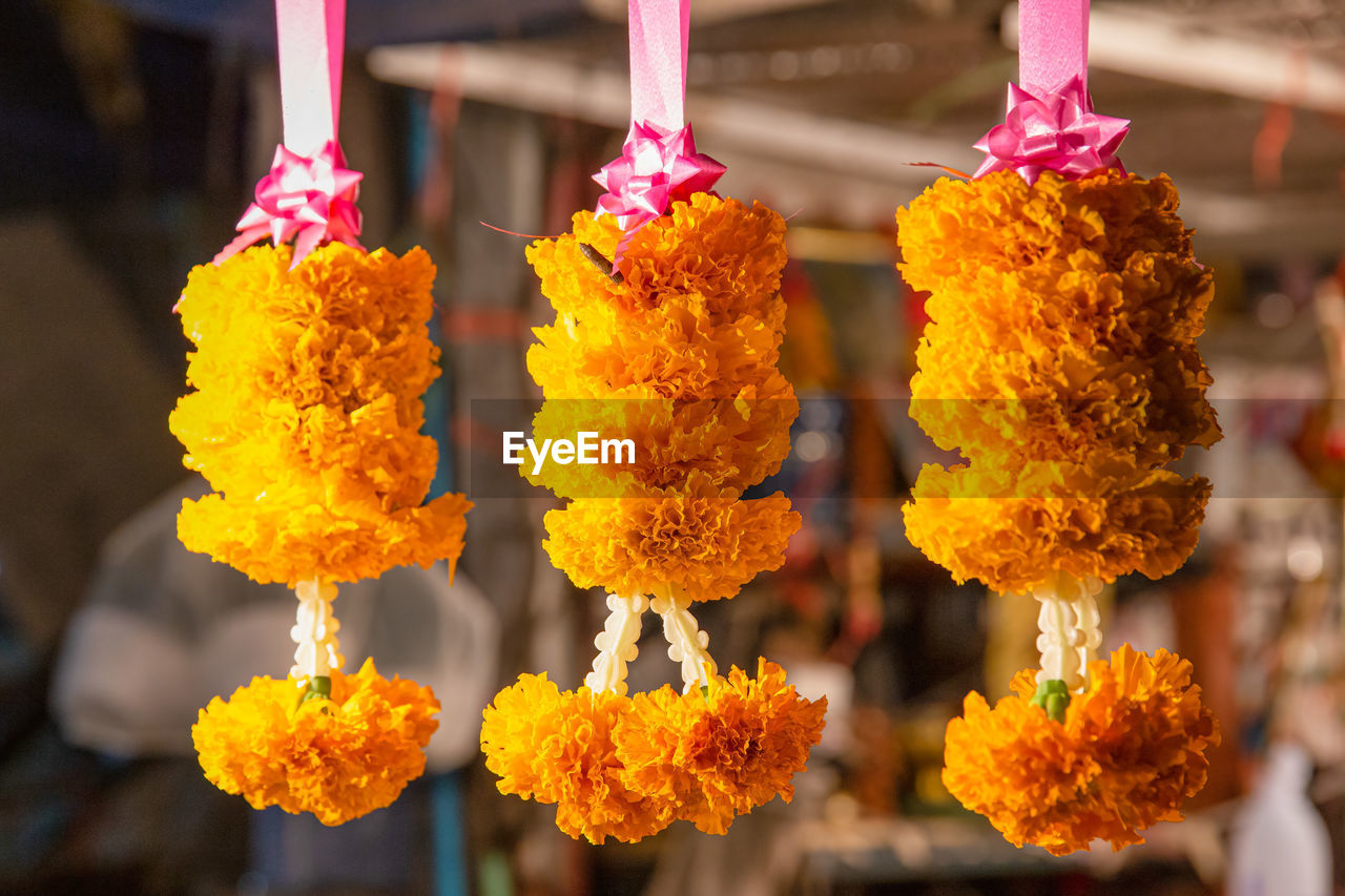 Close-up of yellow marigold flowers for sale