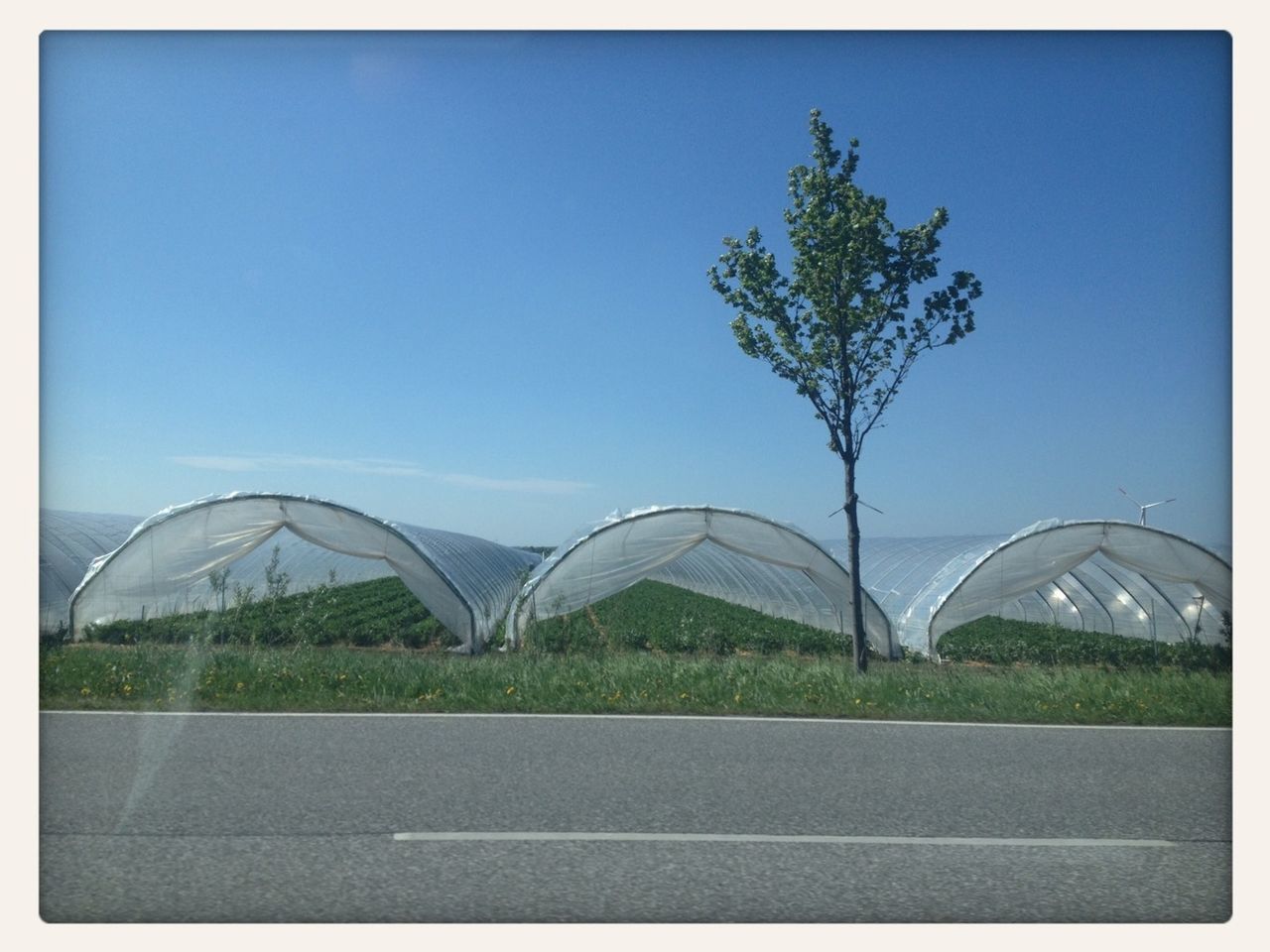 Greenhouse plantation across the road