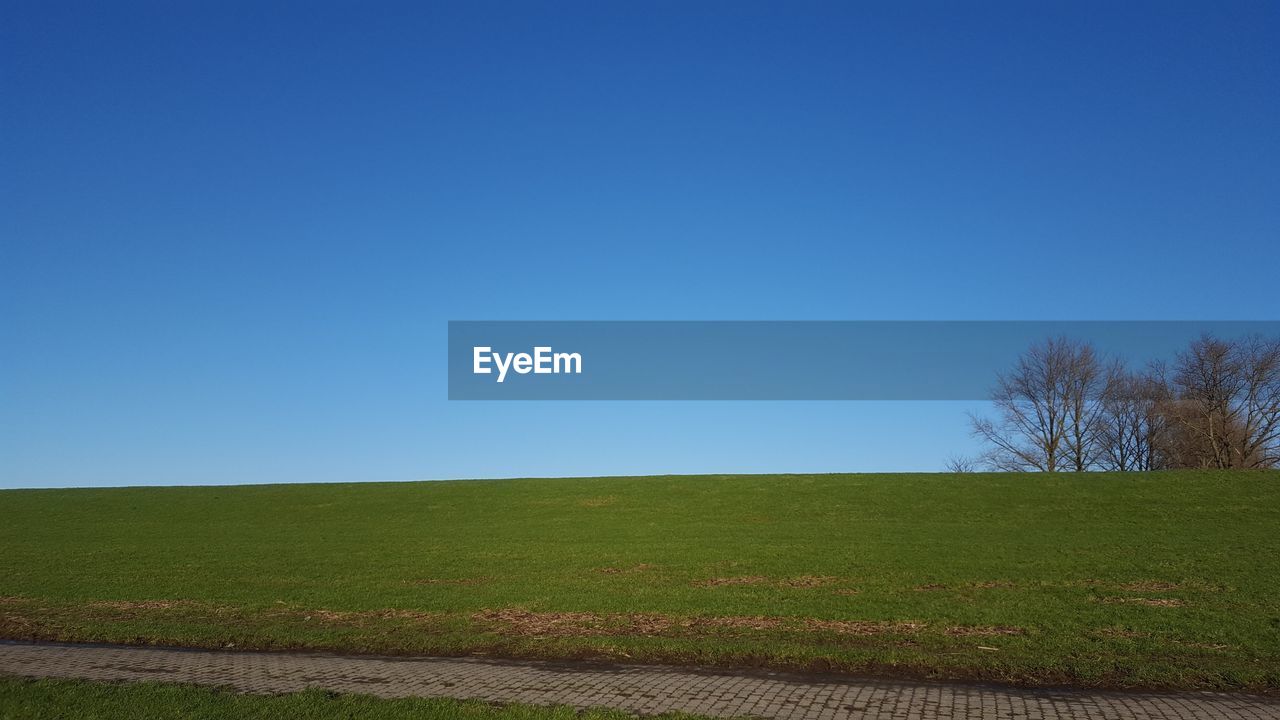 Scenic view of field against clear blue sky