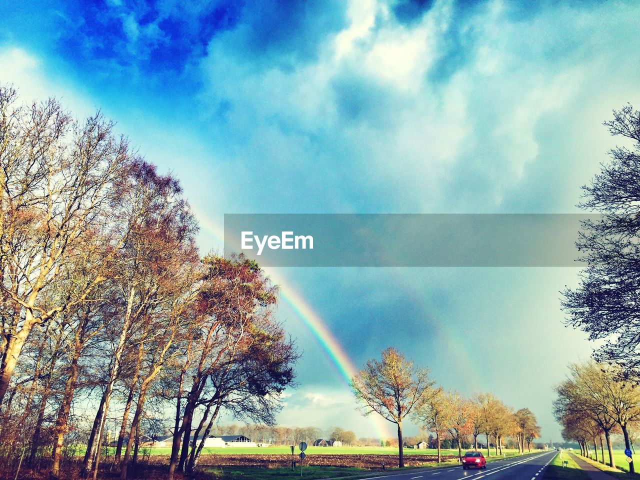 Low angle view of trees and rainbow against cloudy blue sky