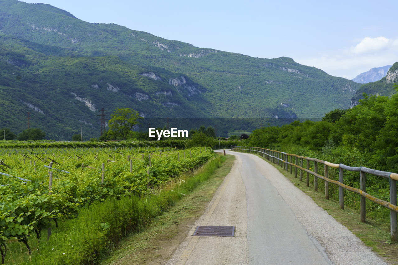 ROAD LEADING TOWARDS MOUNTAINS