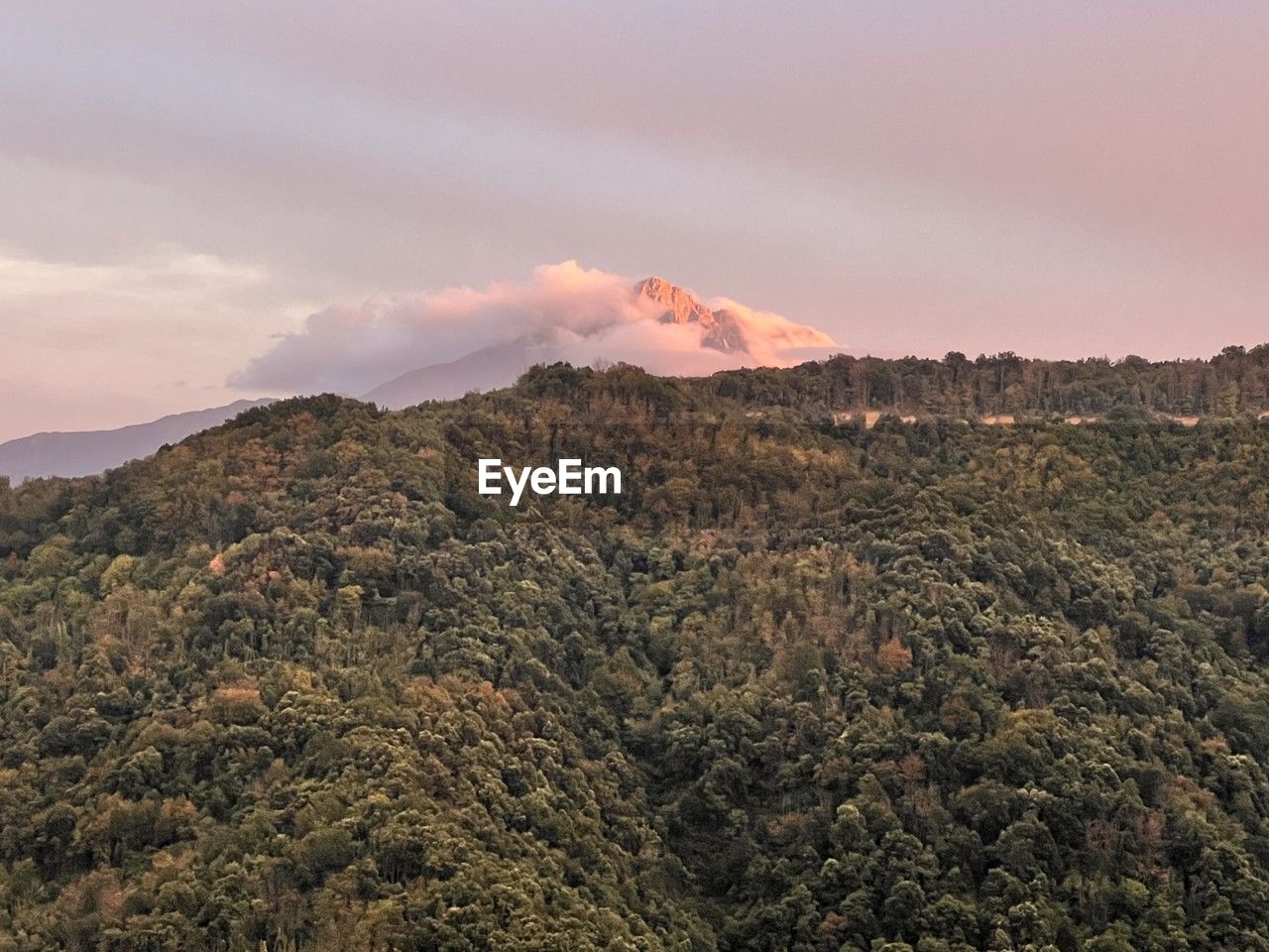 mountain, environment, nature, landscape, sky, beauty in nature, scenics - nature, land, cloud, plant, tree, sunset, no people, wilderness, non-urban scene, travel destinations, tranquility, outdoors, forest, travel, horizon, mountain range, tourism, tranquil scene, dramatic sky, mountain peak, plateau, dawn, ridge, volcano, sun
