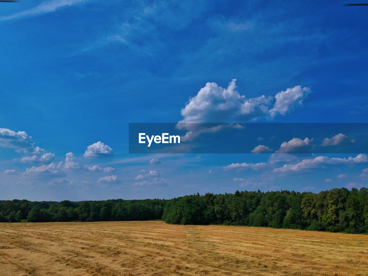 SCENIC VIEW OF LAND AGAINST SKY