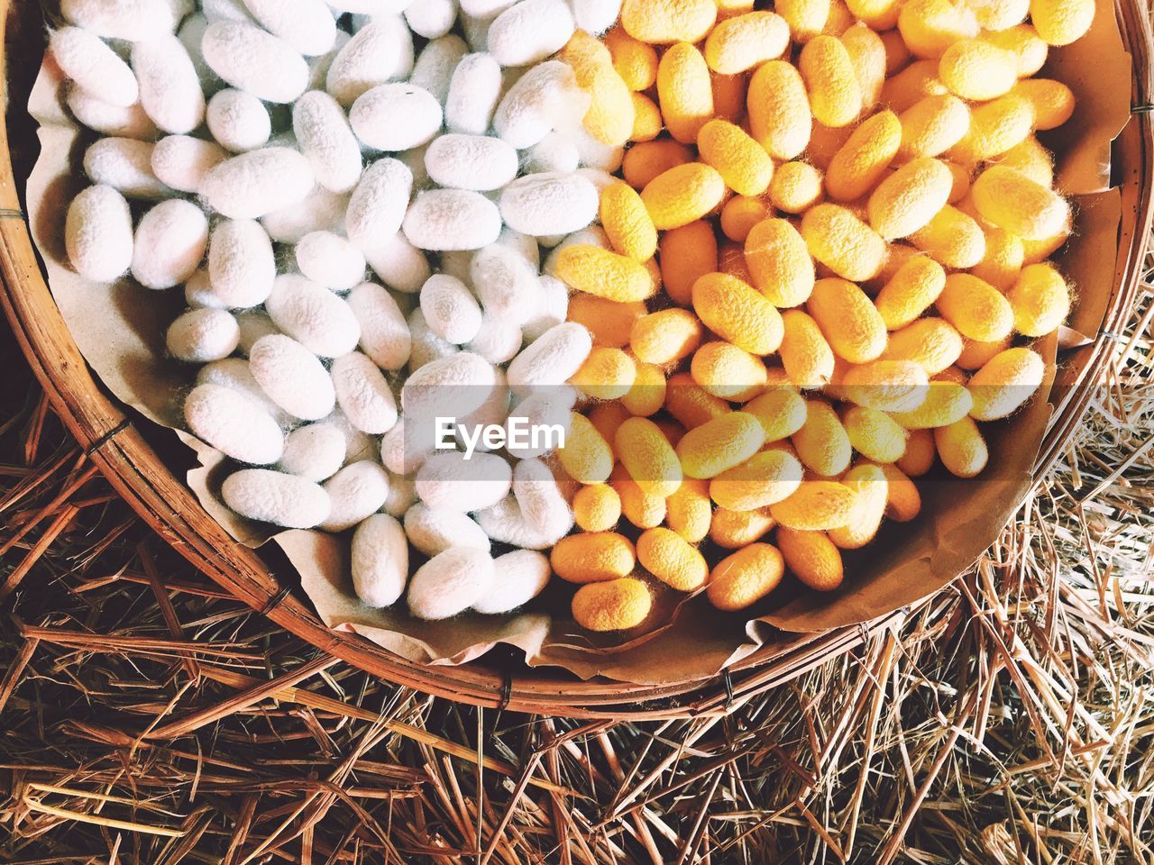 High angle view of vegetables