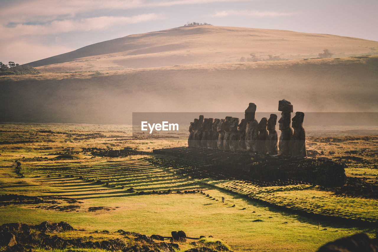 Rear view of people at sunset