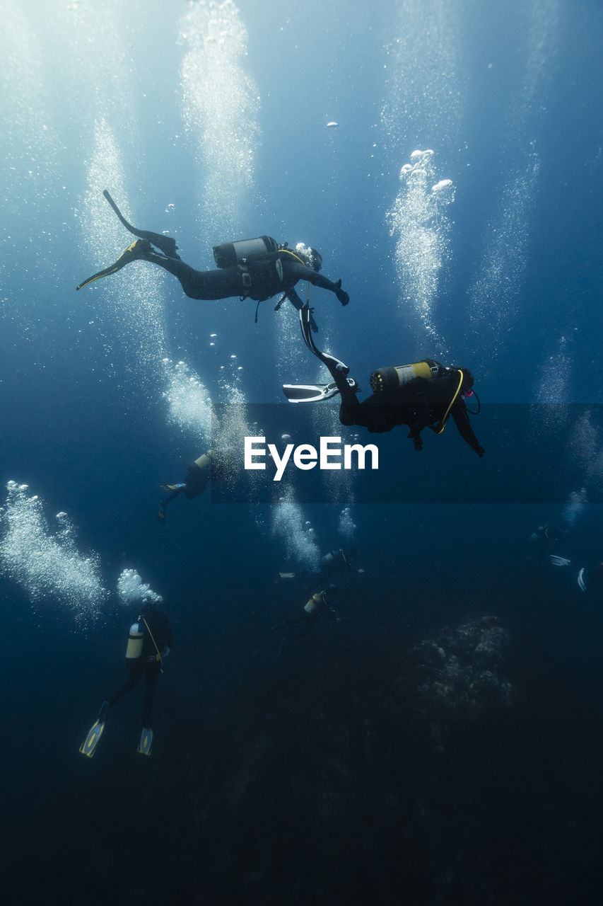 Men and women scuba diving in sea