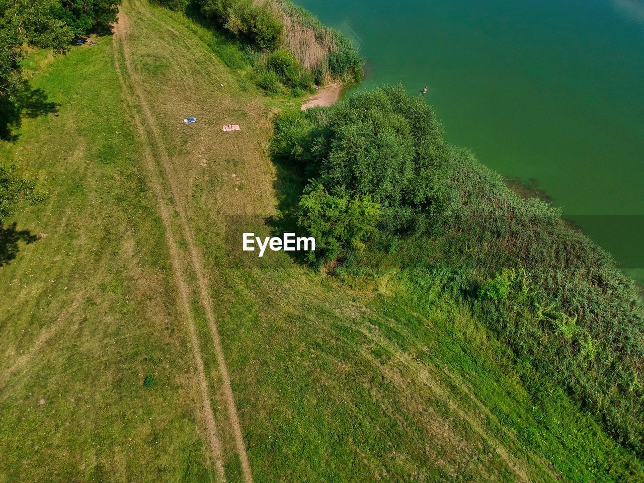 HIGH ANGLE VIEW OF ROAD AMIDST TREES