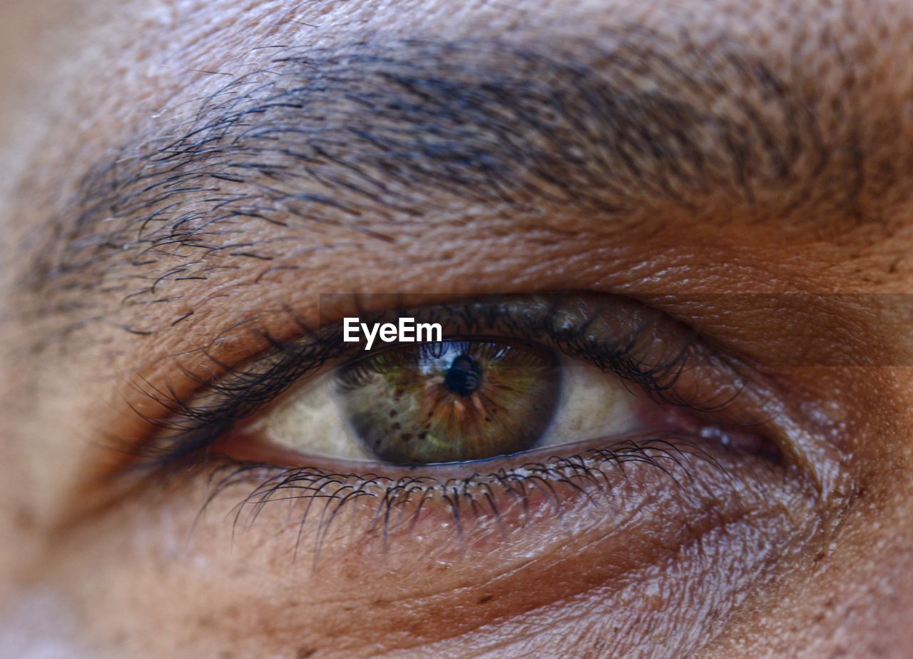 Cropped portrait of man eye