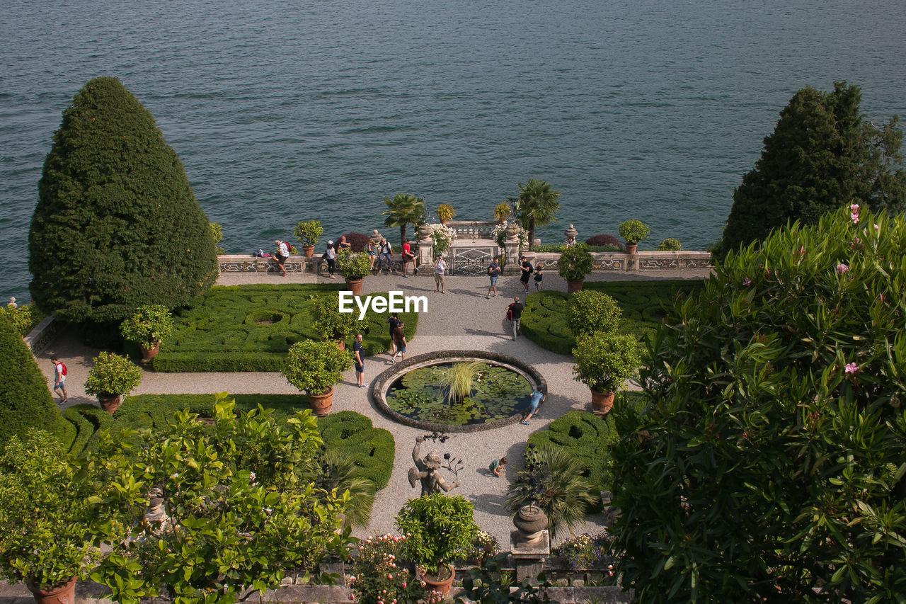 HIGH ANGLE VIEW OF PLANTS AT THE SEASIDE