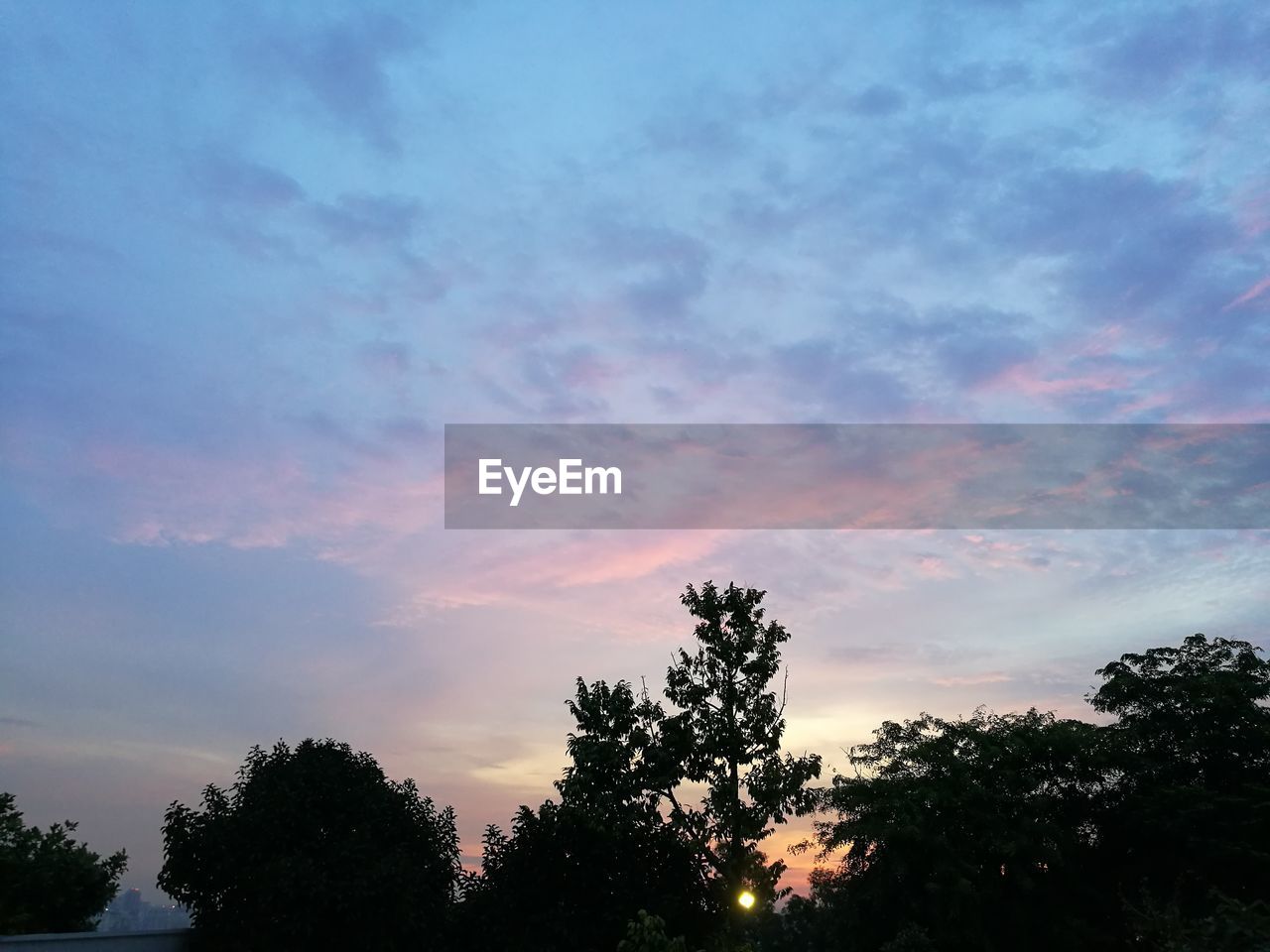 SILHOUETTE TREES AT SUNSET