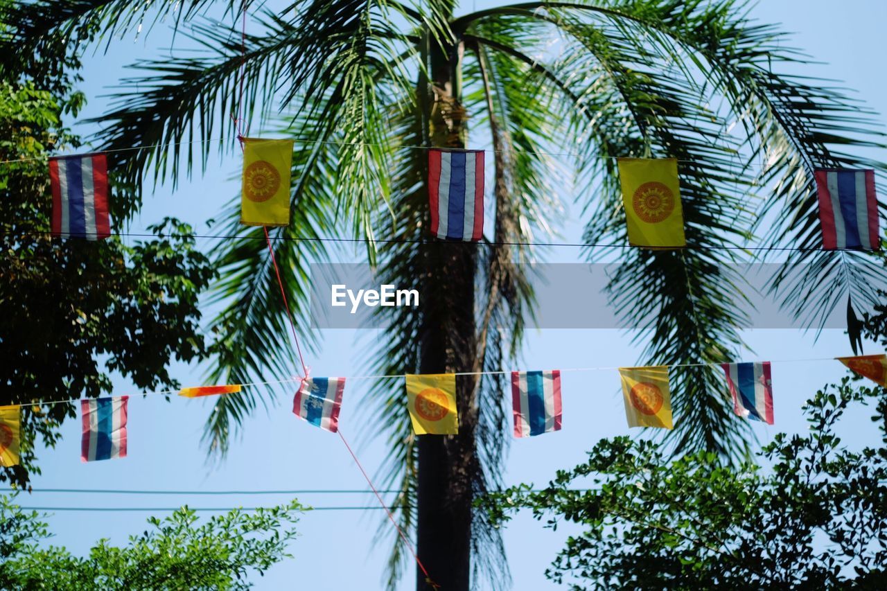 Low angle view of palm trees against sky