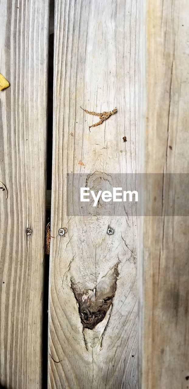 CLOSE-UP OF OLD WOODEN DOOR