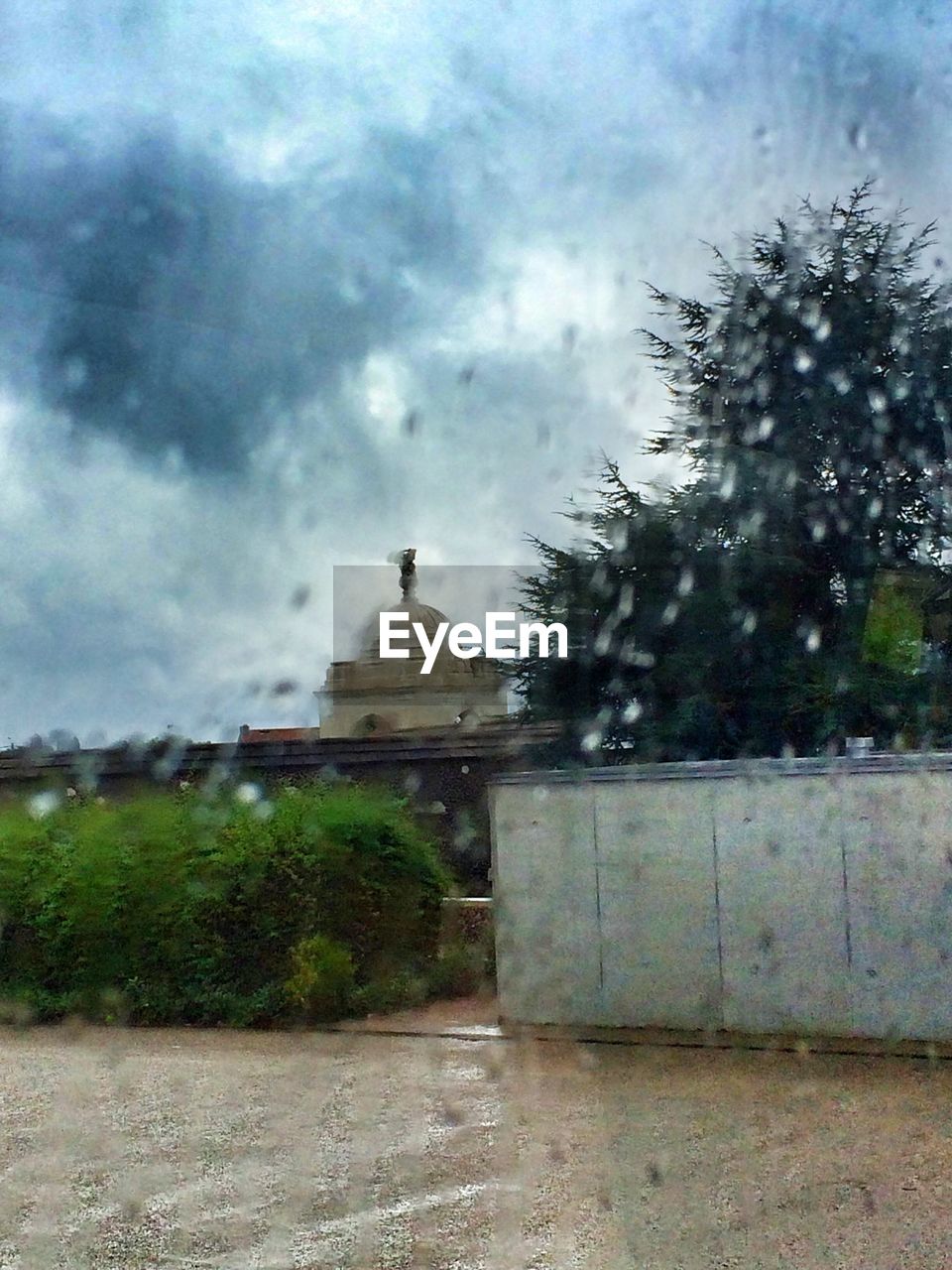 CLOUDY SKY OVER TREES