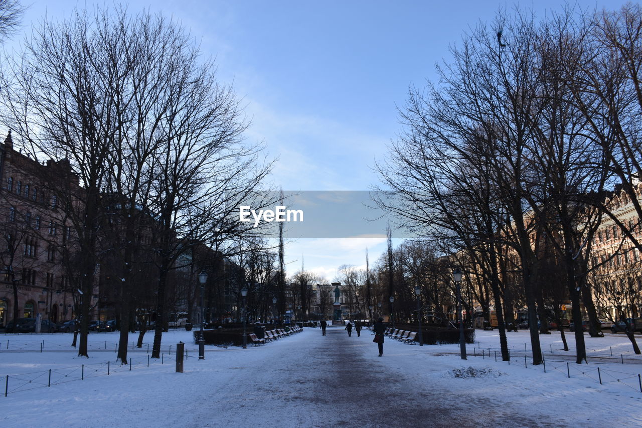 winter, tree, snow, bare tree, cold temperature, sky, plant, nature, architecture, freezing, city, no people, day, outdoors, environment, road, the way forward, beauty in nature, building exterior, built structure, scenics - nature, frozen, street, footpath, tranquility, treelined