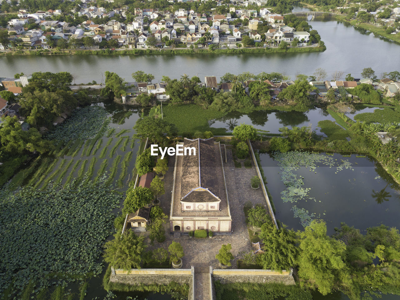 HIGH ANGLE VIEW OF PLANTS AND LAKE