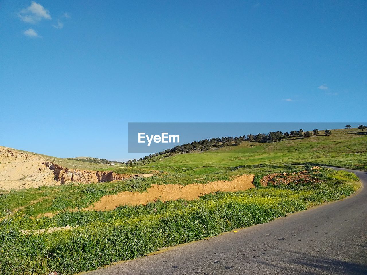 SCENIC VIEW OF ROAD AMIDST FIELD AGAINST CLEAR SKY