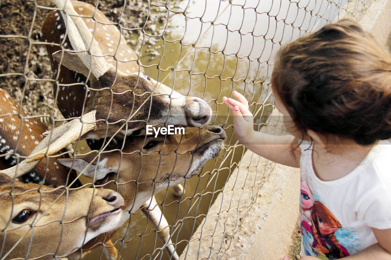 YOUNG WOMAN FEEDING A BIRD IN ZOO