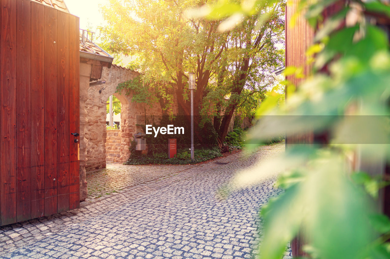 Street amidst houses and trees in city