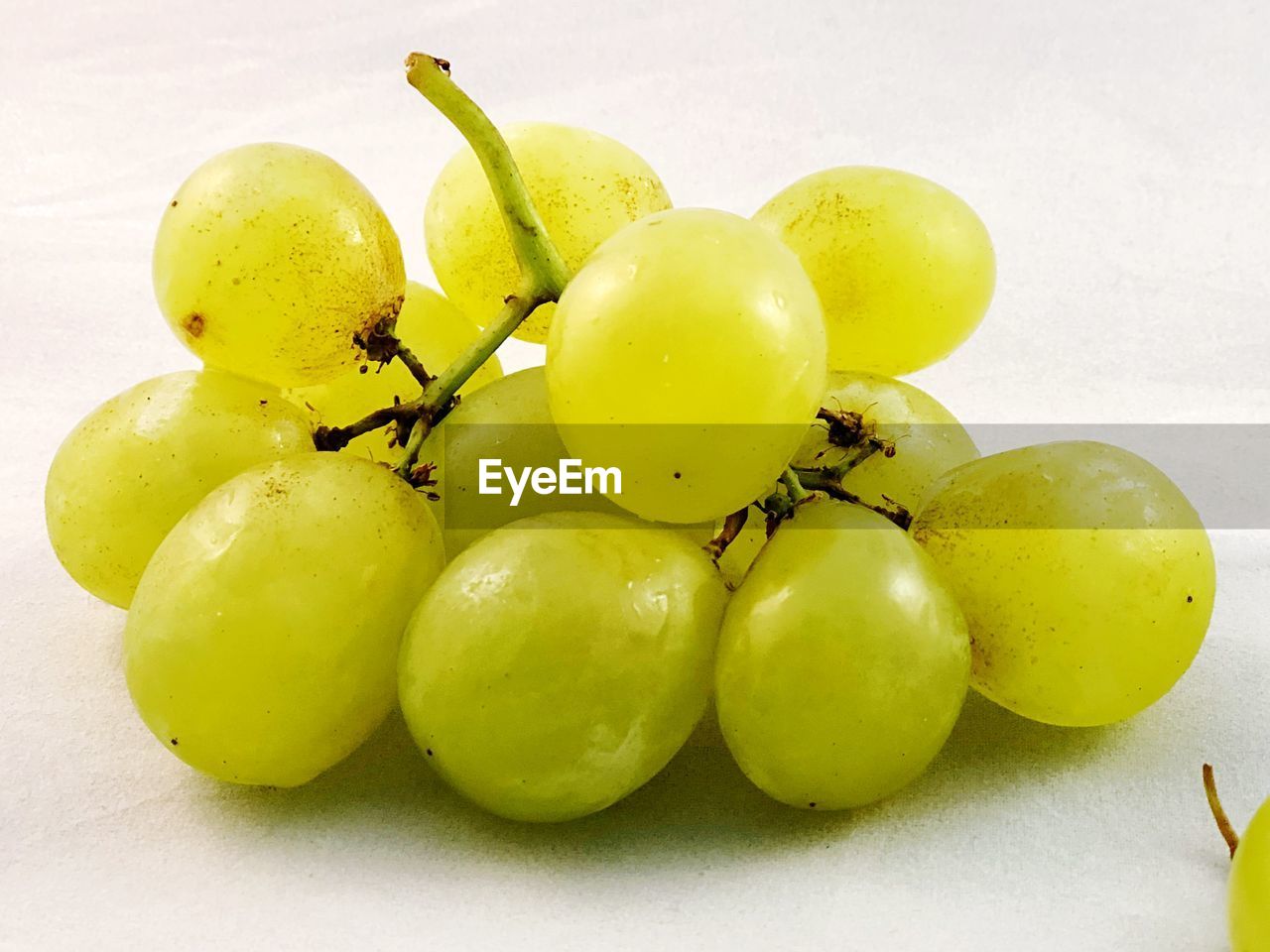 Uvas. close-up of grapes