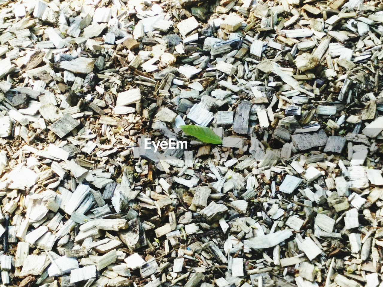 Full frame shot of pebbles