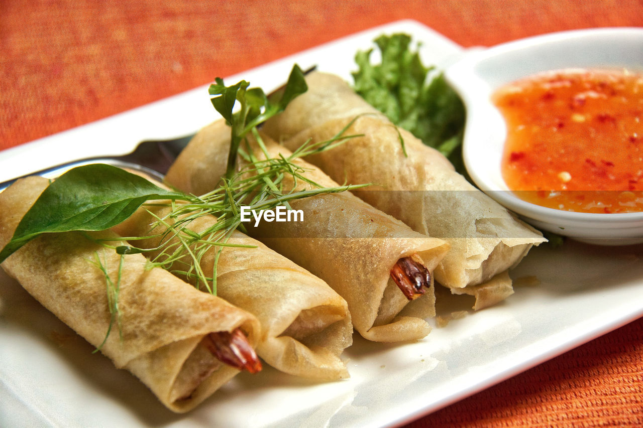 Close-up of food in plate