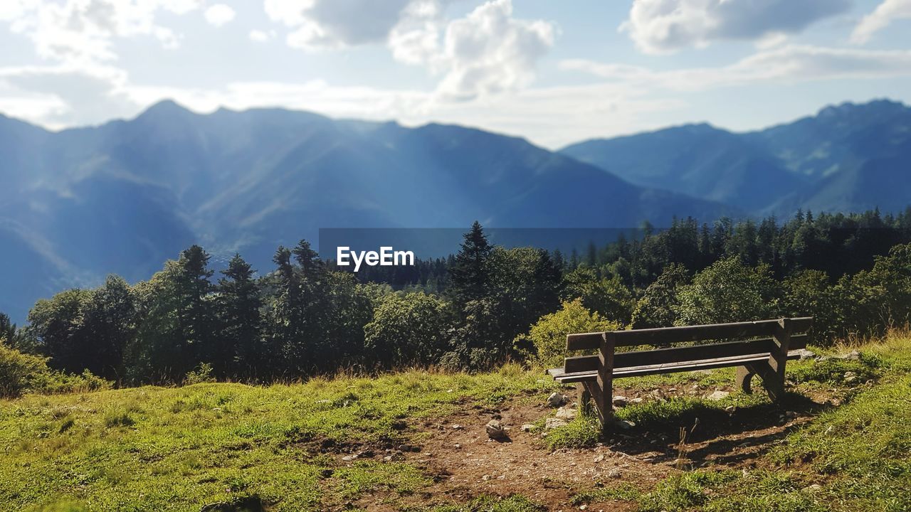 SCENIC VIEW OF TREES AND MOUNTAINS