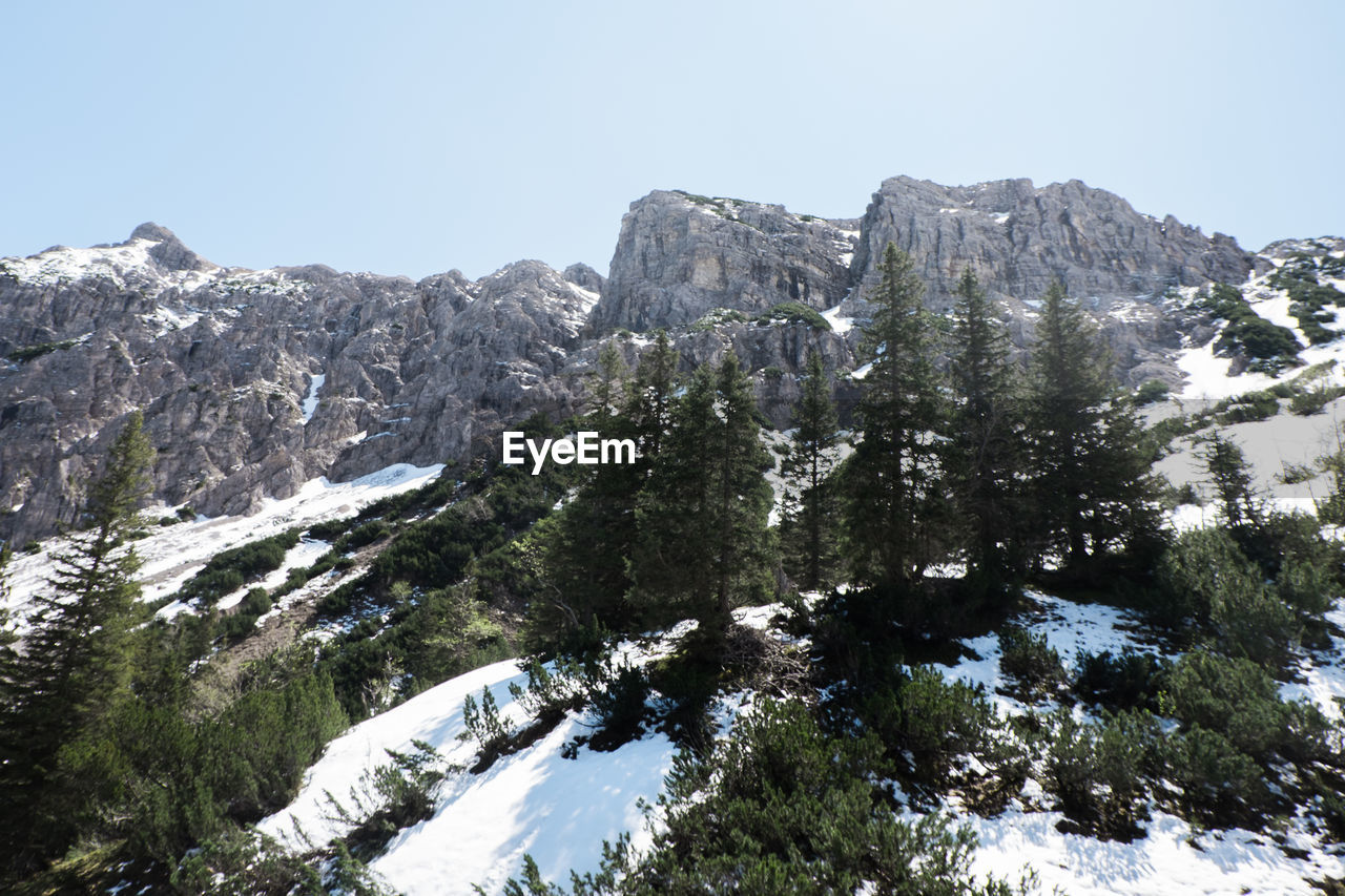 Low angle view of trees on mountain against clear sky