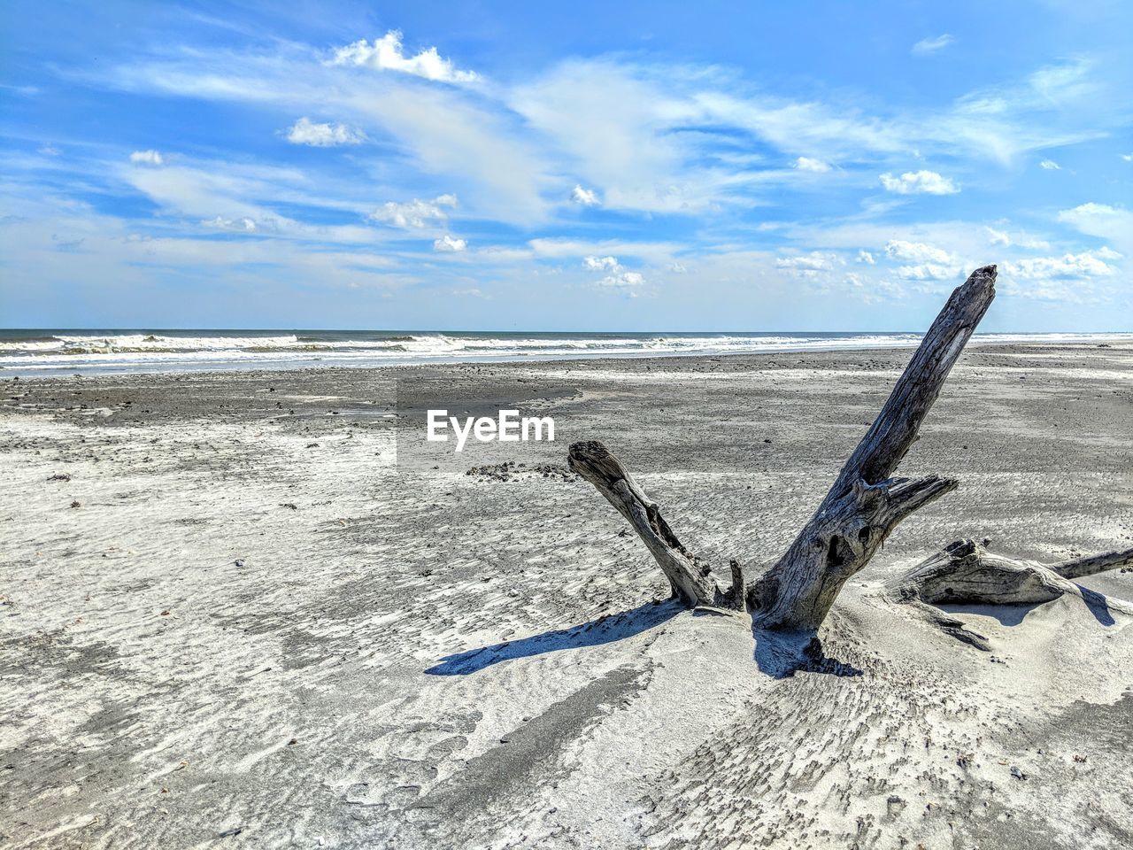 DRIFTWOOD ON BEACH AGAINST SKY