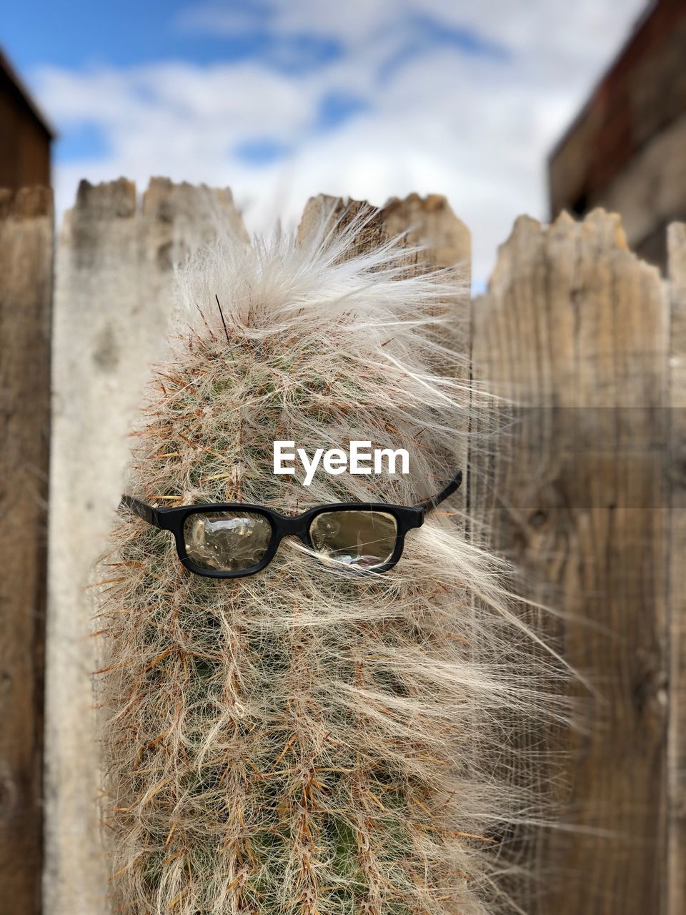 CLOSE-UP OF SUNGLASSES ON WALL