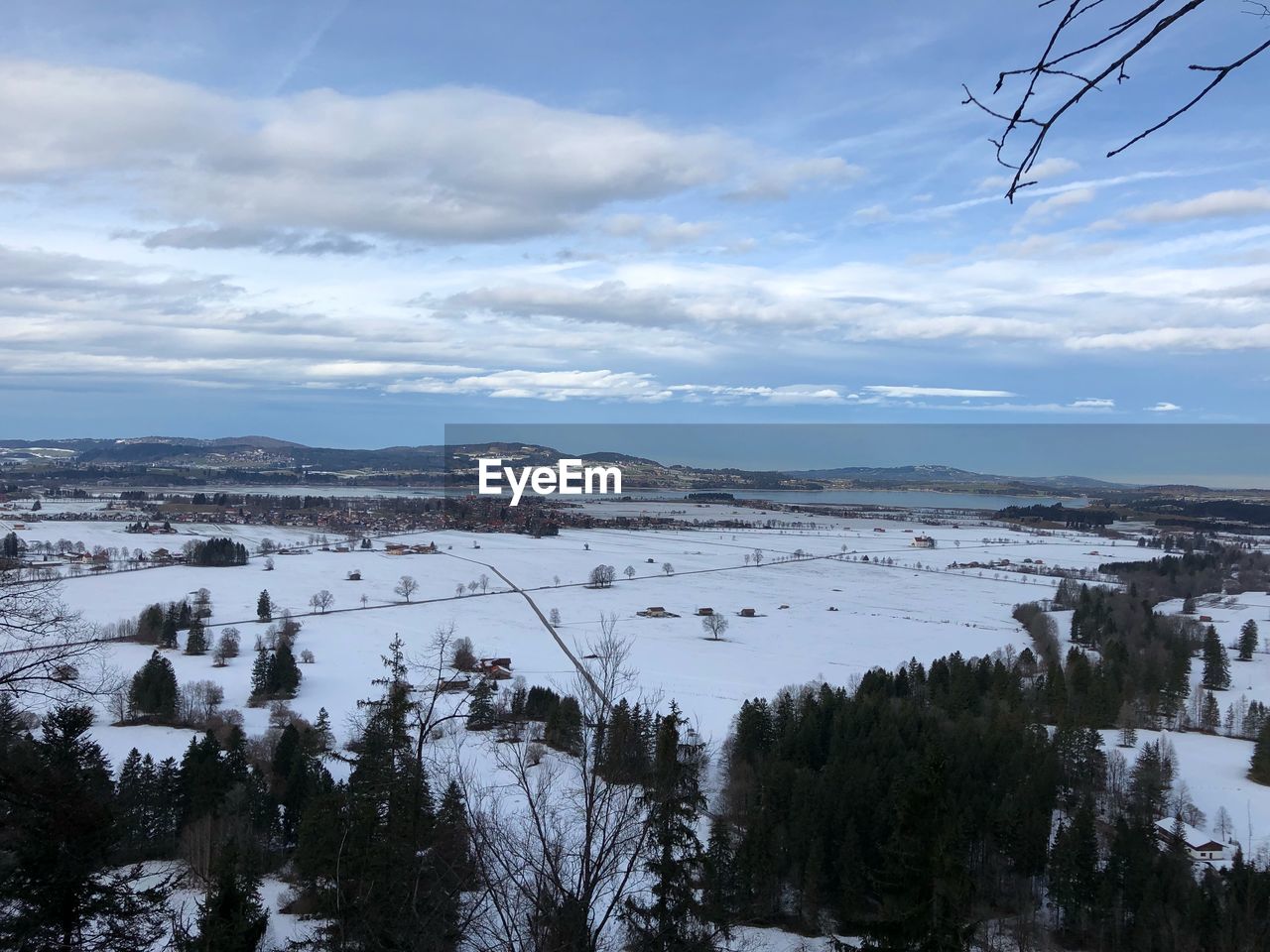 SCENIC VIEW OF TREES ON SNOW COVERED LANDSCAPE