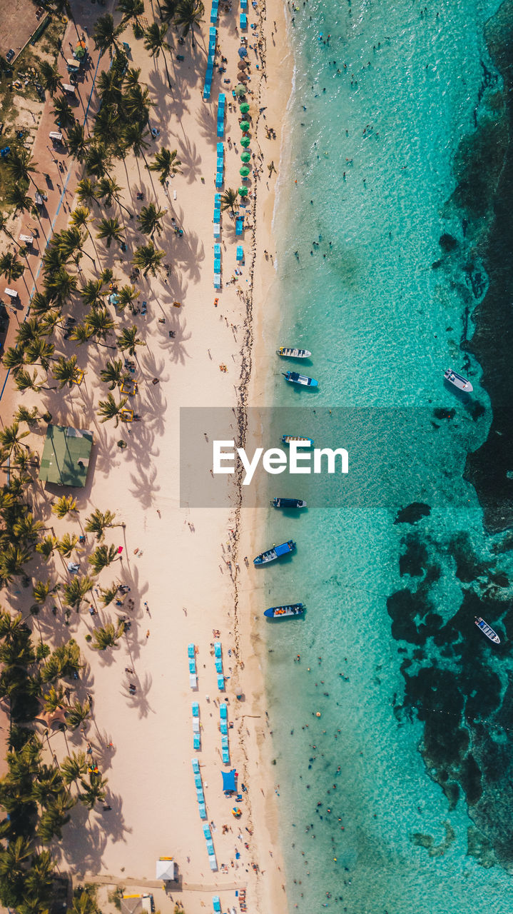 High angle view of plants on beach