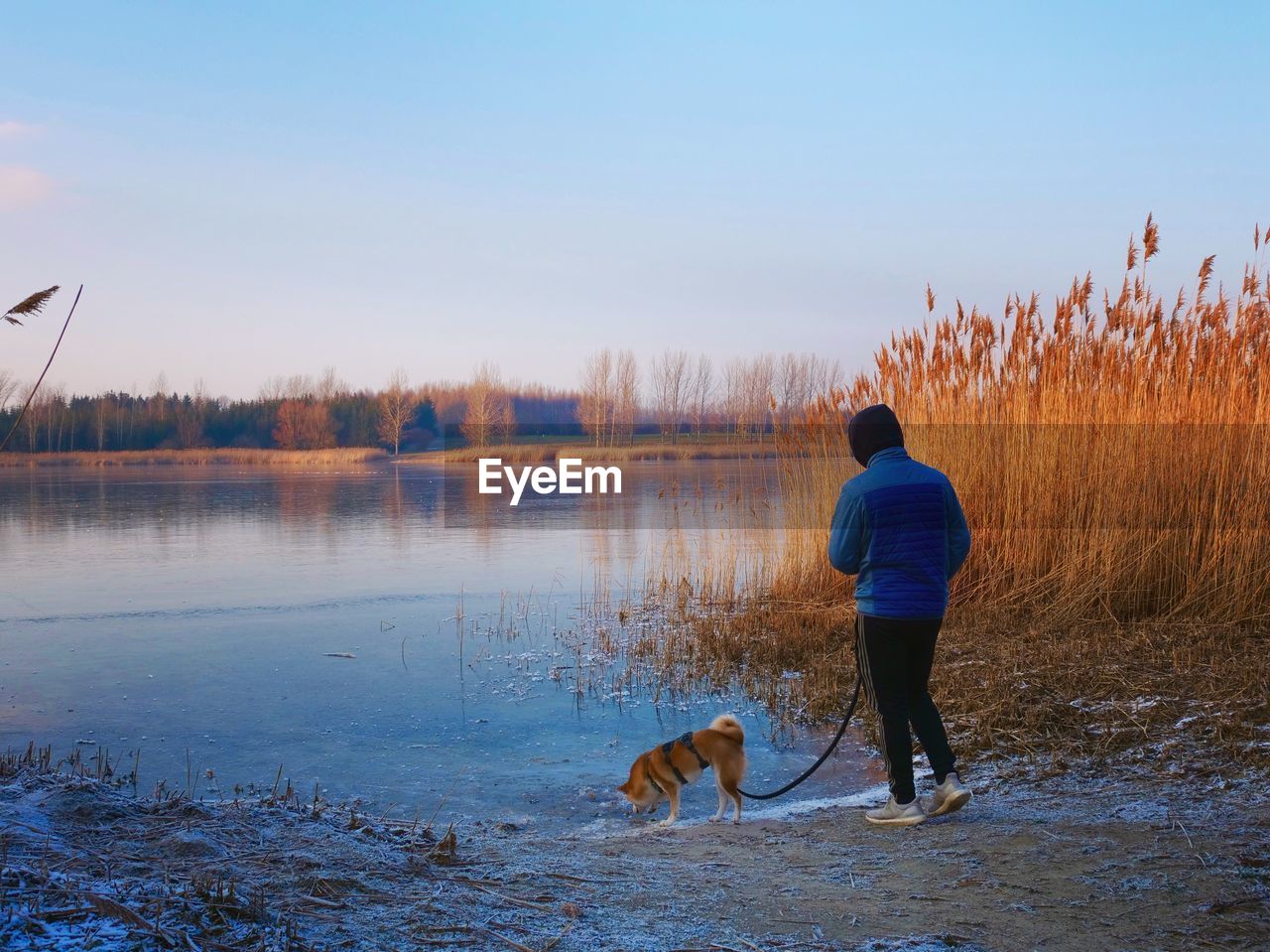 REAR VIEW OF WOMAN WITH DOG IN BACKGROUND