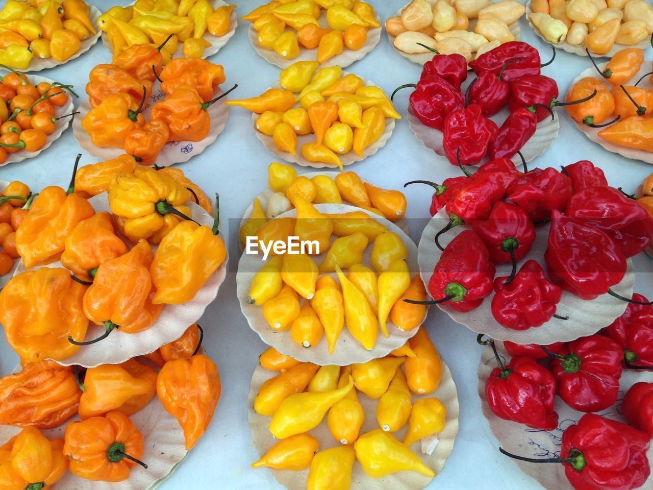 Full frame shot of multi colored chili peppers in paper plate on table