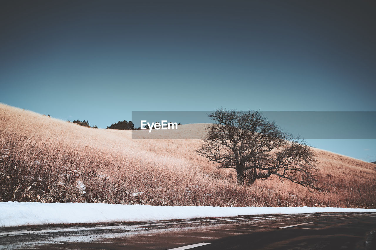 Scenic view of snow covered field against clear sky